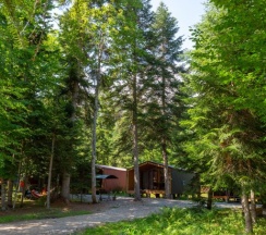 Двухместное шале Classic с красивым видом из окна двуспальная кровать в Forest house resort
