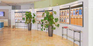 Соргун: Курортный отель Barut B Suites All Inclusive