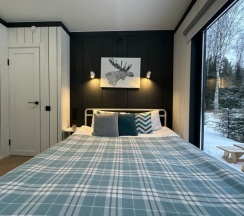 "Осина" в След Лося