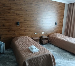 Стандарт 2-х местный с раздельными кроватями в Grand hotel