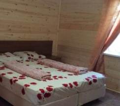 Коттедж в Тихий лесок