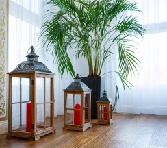 Апартамент MAROCCO  77 в Baden SPA