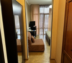 Номер комфорт с 1 двуспальной кроватью в Спарта