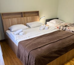 Стандартный семейный номер с 1 двуспальной и 2 односпальными кроватями в Невский