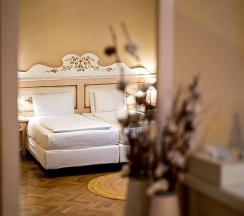 Одноместный номер Deluxe в Wolkendorf Bio Hotel & Spa