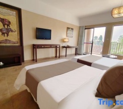 Двухместный номер Premier 2 отдельные кровати в Dreamland Resort