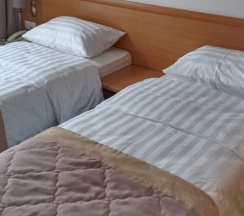 СТАНДАРТ  в Истра Гарден Отель