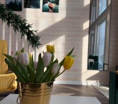 Семейный коттедж в Ёлки-Иголки