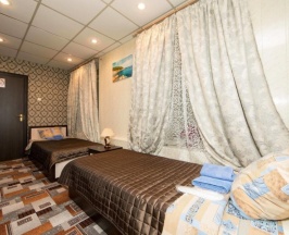 Бюджетный двухместный номер с 2 отдельными кроватями в Ладомир на Садовой