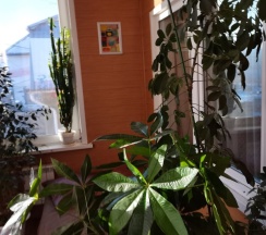 Коттедж с 5 комнатами с балконом и с красивым видом из окна в Удачный