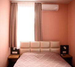 Стандартный двухместный номер в Парк-л