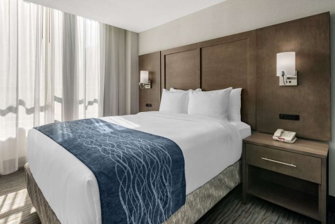 Майами: Отель Comfort Inn & Suites Downtown Brickell Port of Miami