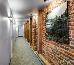 Стандартный Мопс в Mops