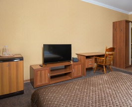 Номер делюкс №109 в Hotel central