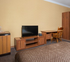 Номер делюкс №109 в Hotel central
