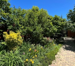 Номер стандарт комфорт с 1 двуспальной кроватью в Диво