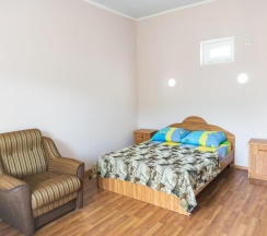 Номер стандарт эконом с 1 односпальной кроватью в Лайнер