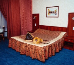 Двухместный номер Deluxe двуспальная кровать в АлександерПлатц