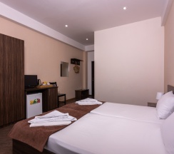 Двухместный номер Standard с балконом 2 отдельные кровати в Никополи