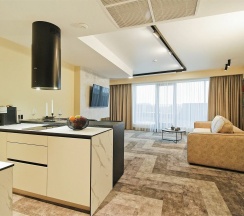 Президент Спа в Ластадие