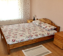 Номер эконом с 1 двуспальной кроватью в Спас-Каменка