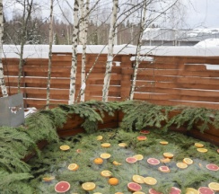 Aframe Luxe Black | Банный чан на территории в Берёзовая роща