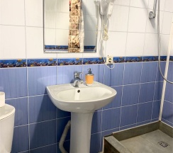 Двухместный номер с 2 отдельными кроватями в Sheremet