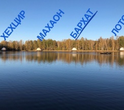 шатер Бархат (амурский) в Шале на воде