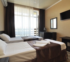 Двухместный номер Standard с балконом 2 отдельные кровати в Валекс