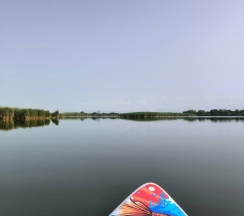 Дом в Elephant Homd