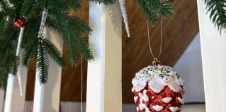 Алёхново: Гостевой дом Хвоя