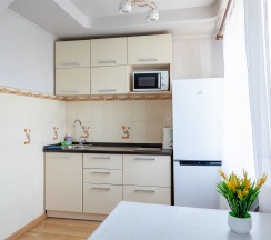 Пушкинская 55 в Nova Apartments