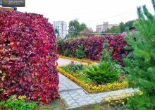 Улучшенный номер с собственной сауной в Абажур