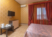 Double в Premium Hotel