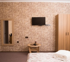 Двухместный стандартный номер в Пассаж