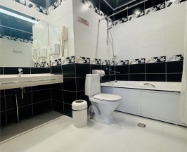 Люкс в Транзит