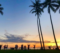 Апартаменты в Waikiki Banyan #3810-T2