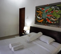 Двухместный номер Superior двуспальная кровать в Ary Guest House