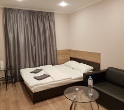 Номер "Комфорт" с 1 двуспальной кроватью в Аэропорт Внуково