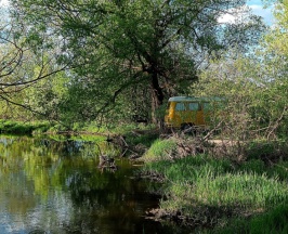 Woody Yellow в Hippy Hotel