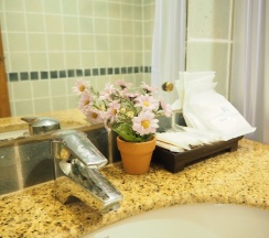 Одноместный номер Deluxe в Your Place Inn