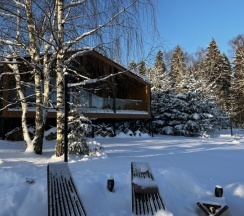 Коттедж Шон с панорамной баней для 7-ми гостей в Rodioncevo Eco Village