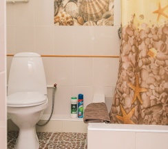  "ЛЮКС" Семейный, 2х комн. (№5) в Новый континент