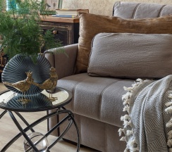 Звездочет в Agent flat
