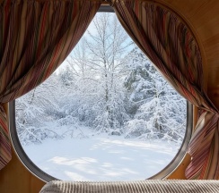 Капсула в лесу с купелью в Гуляй-город