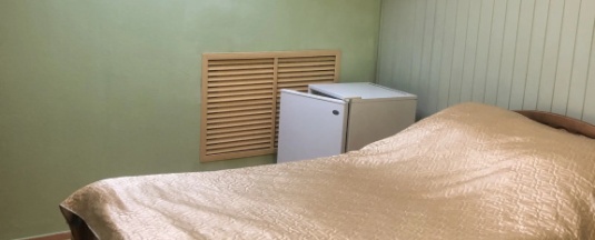 Одноместный номер Standard в Рябинушка