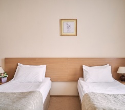 Cтандарт с двумя раздельными кроватями в Центральный by USTA Hotels