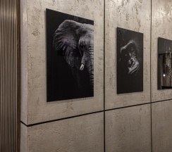 Коттедж премиум 1 в Дрова