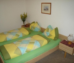Номер Standard в Hotel Restaurant Blümlisalp