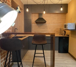 Четырёхместные апартаменты c 1 комнатой в Apart Den City Center Apartments